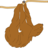 Hanging Sloth Clip Art